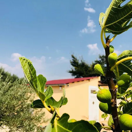Finca Di Vikendica
