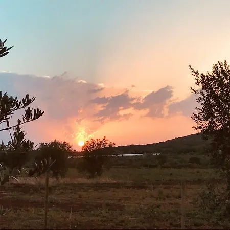 Finca Di *