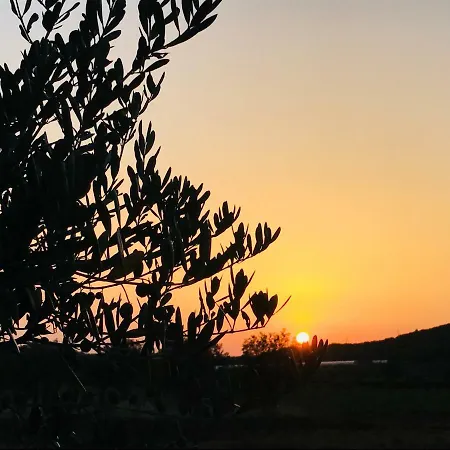 펜션 Finca Di 로비니