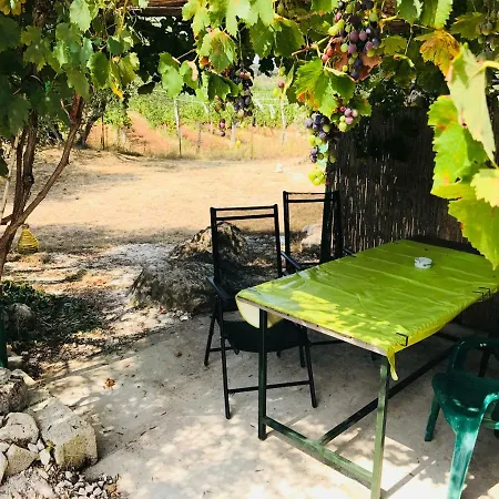 Finca Di 펜션 *