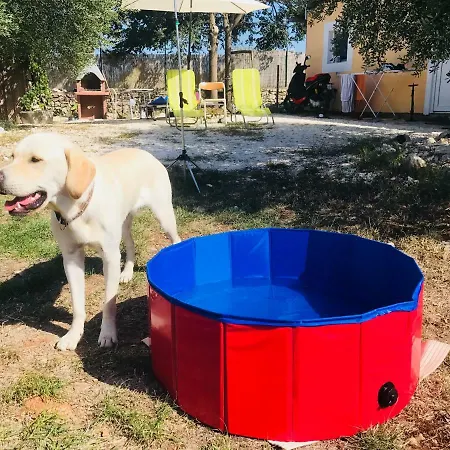 Finca Di